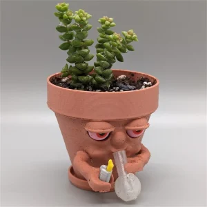 Pot Planter For Succulents Or Houseplants Ripping A Bong