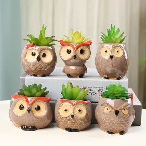 Mini Owl Flowerpot for Succulent and Cactus Plants